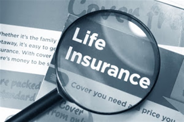 Insurance